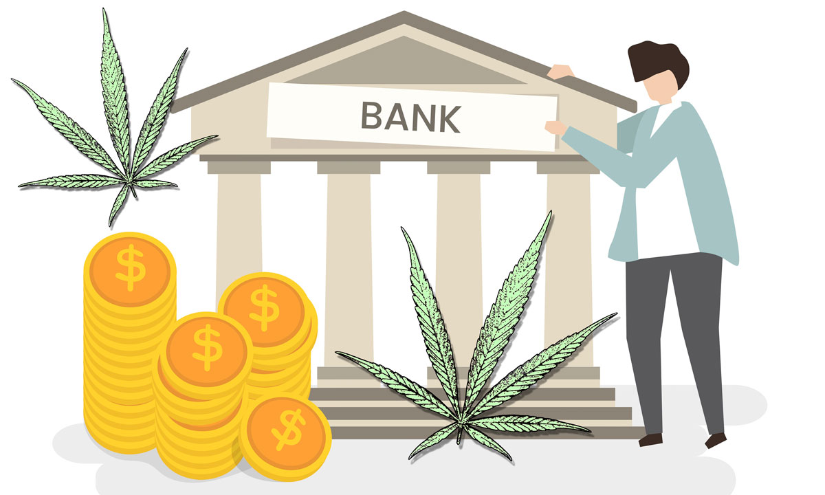 how to get a cannabis bank account