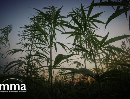 Federal Reserve Issues Reminder That Banks Can Work With Hemp Businesses