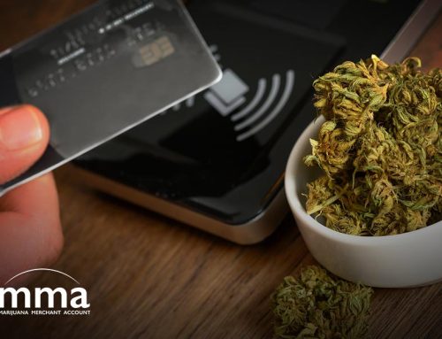 What Merchant Options Are Available for Cannabis Businesses?