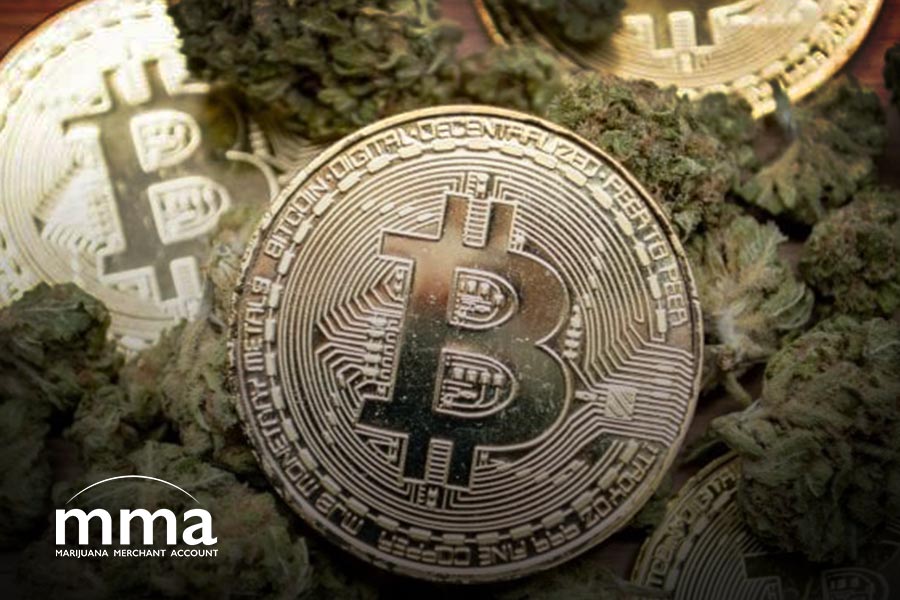 cannabis cryptocurrency